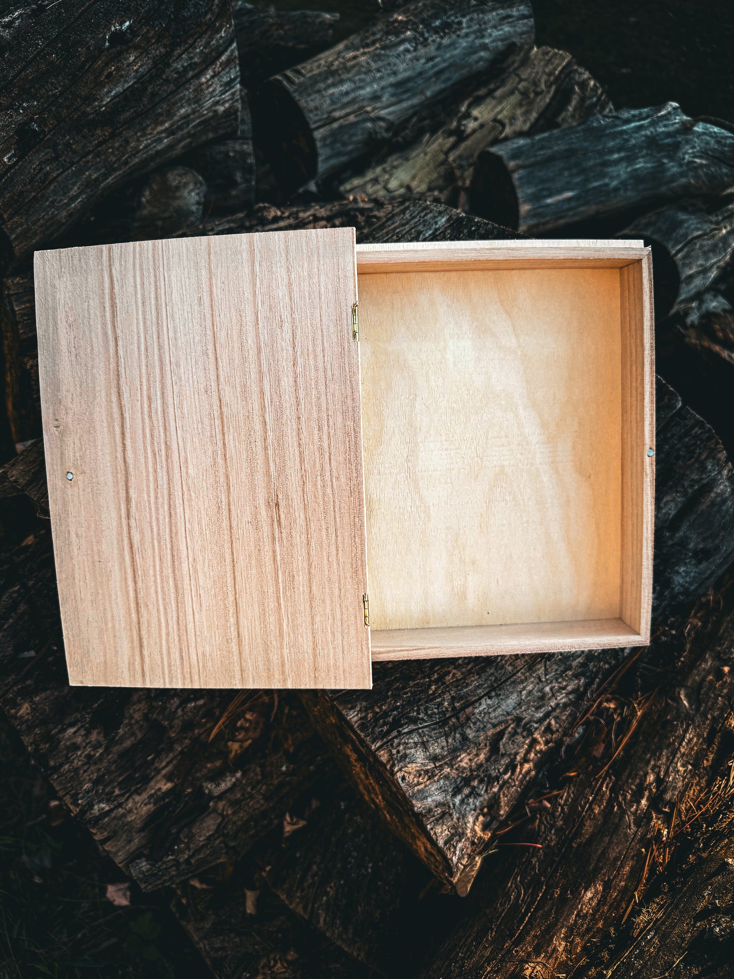 Fourth Wing inspired wooden keepsake box