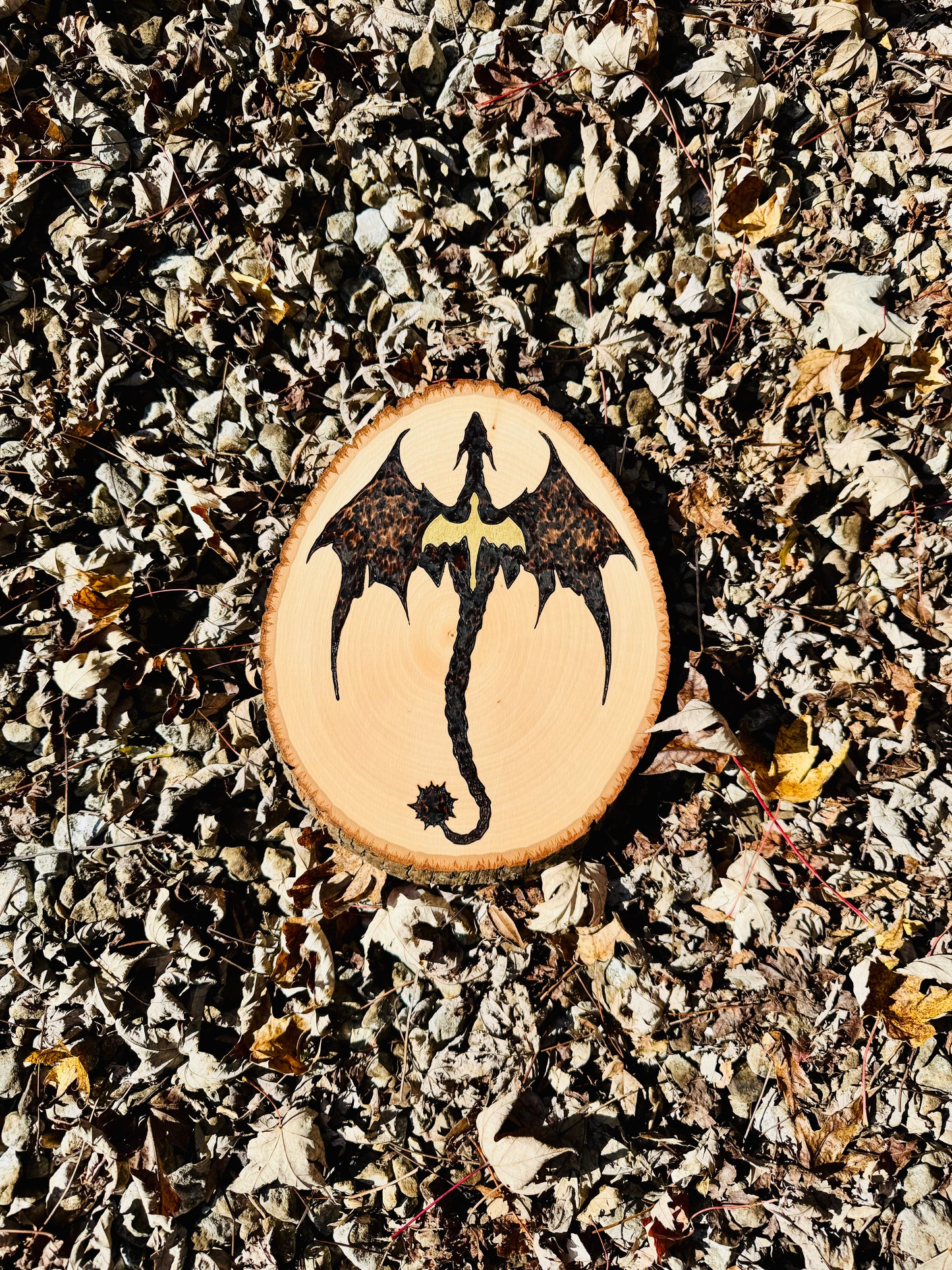 Fourth Wing inspired wood plaque