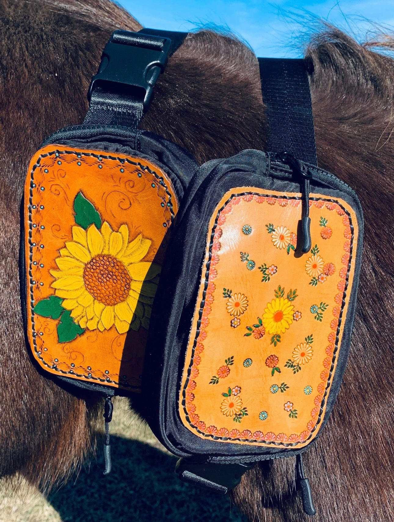 Sunflower wild ride Fanny