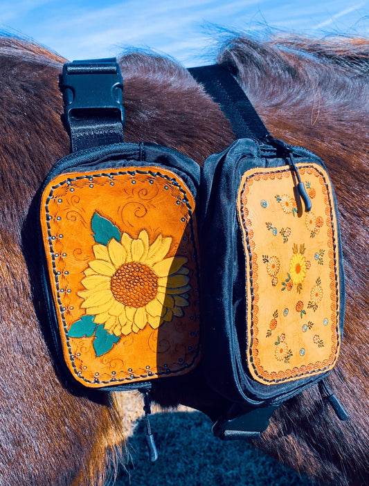 Sunflower wild ride Fanny